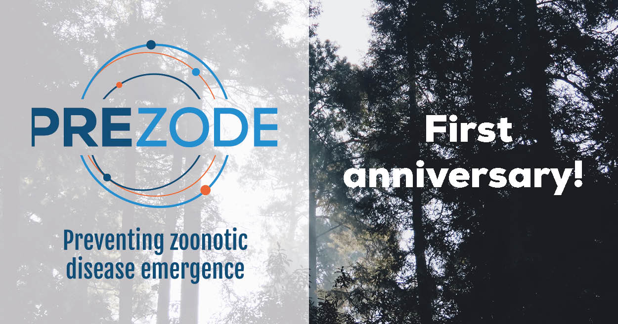 PREZODE celebrates its first anniversary